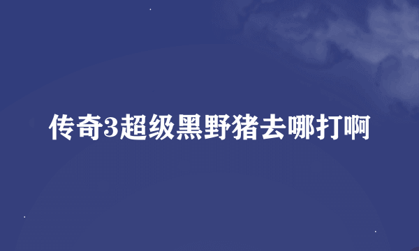 传奇3超级黑野猪去哪打啊