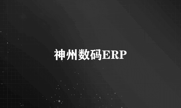 神州数码ERP