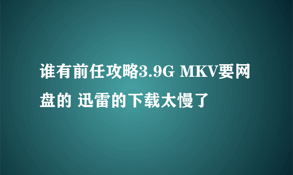 谁有前任攻略3.9G MKV要网盘的 迅雷的下载太慢了