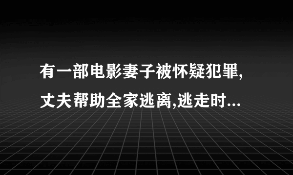 有一部电影妻子被怀疑犯罪,丈夫帮助全家逃离,逃走时孩子又被邻居带走,不是危情3日