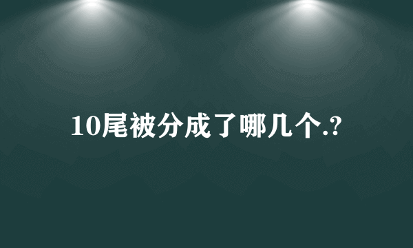 10尾被分成了哪几个.?