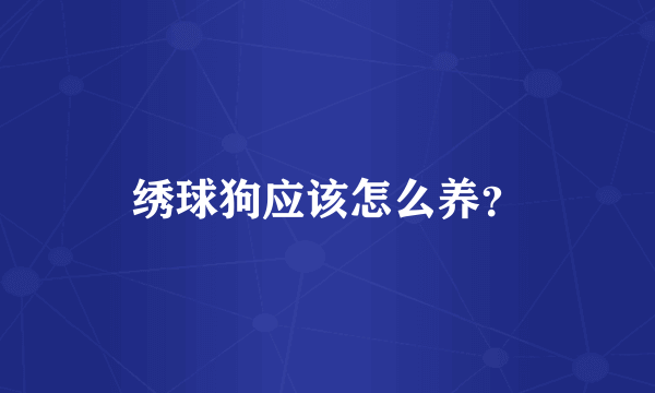 绣球狗应该怎么养？