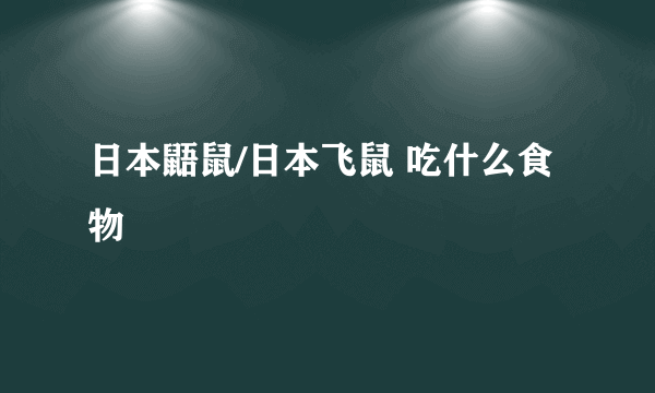 日本鼯鼠/日本飞鼠 吃什么食物