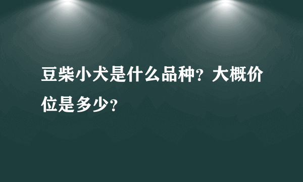 豆柴小犬是什么品种？大概价位是多少？