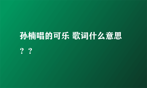 孙楠唱的可乐 歌词什么意思？？