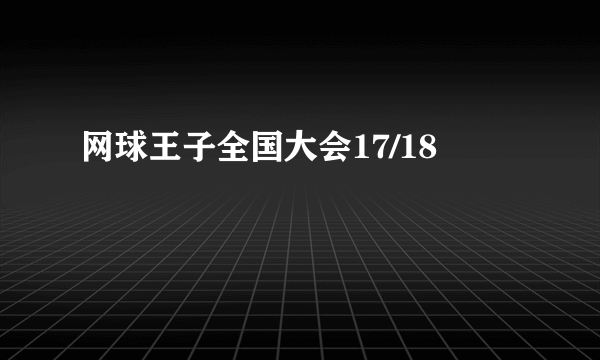 网球王子全国大会17/18