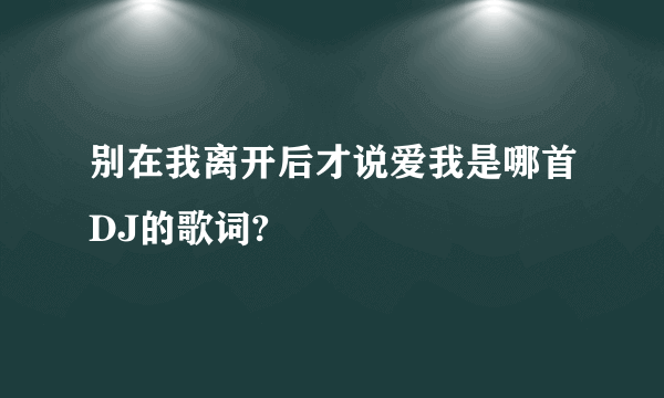 别在我离开后才说爱我是哪首DJ的歌词?