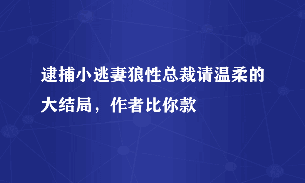 逮捕小逃妻狼性总裁请温柔的大结局，作者比你款