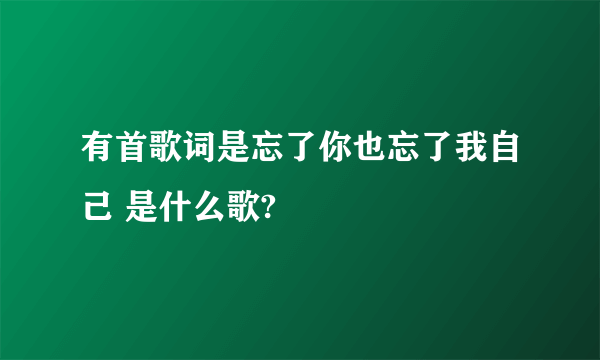 有首歌词是忘了你也忘了我自己 是什么歌?