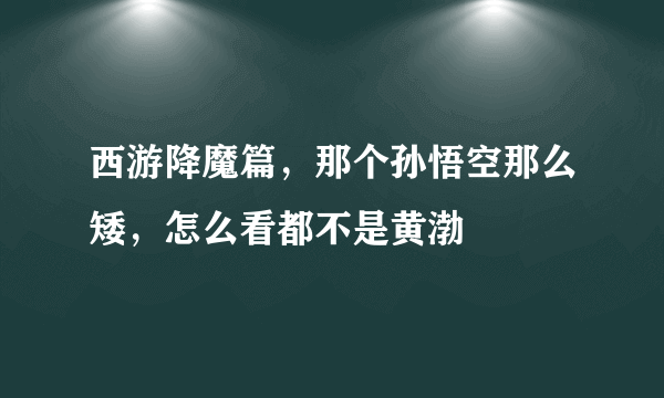 西游降魔篇，那个孙悟空那么矮，怎么看都不是黄渤