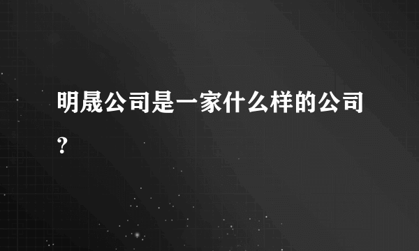 明晟公司是一家什么样的公司？