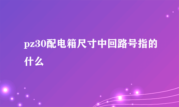 pz30配电箱尺寸中回路号指的什么