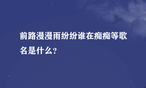 前路漫漫雨纷纷谁在痴痴等歌名是什么？