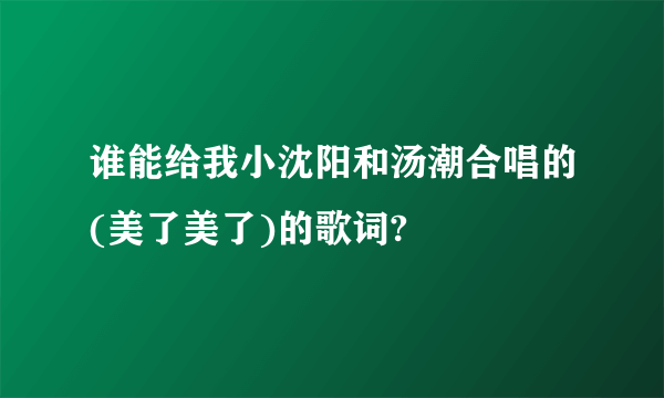 谁能给我小沈阳和汤潮合唱的(美了美了)的歌词?