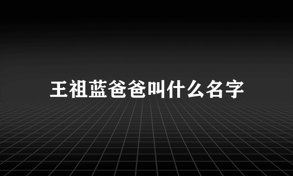 王祖蓝爸爸叫什么名字