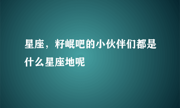 星座，籽岷吧的小伙伴们都是什么星座地呢