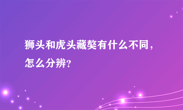 狮头和虎头藏獒有什么不同，怎么分辨？