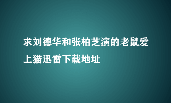 求刘德华和张柏芝演的老鼠爱上猫迅雷下载地址