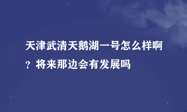 天津武清天鹅湖一号怎么样啊？将来那边会有发展吗