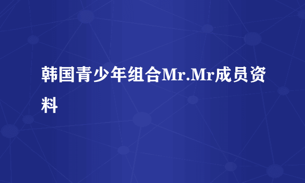 韩国青少年组合Mr.Mr成员资料