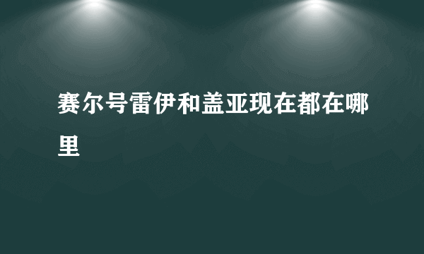 赛尔号雷伊和盖亚现在都在哪里