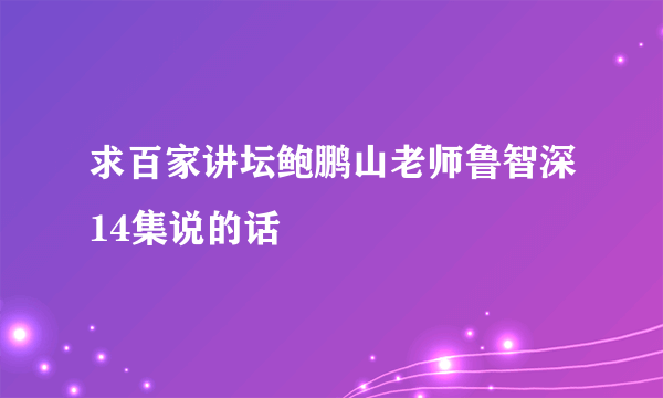 求百家讲坛鲍鹏山老师鲁智深14集说的话