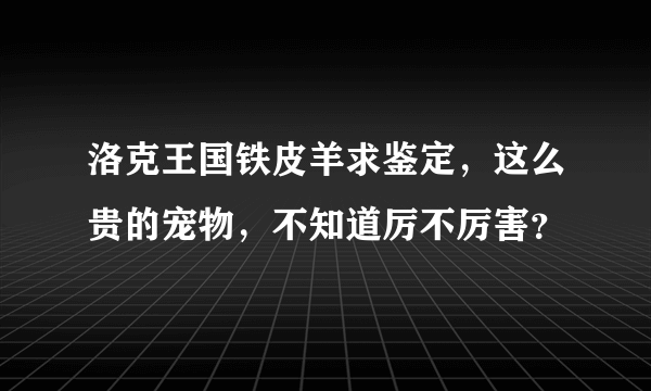 洛克王国铁皮羊求鉴定，这么贵的宠物，不知道厉不厉害？