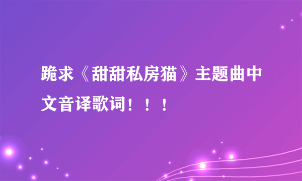 跪求《甜甜私房猫》主题曲中文音译歌词！！！