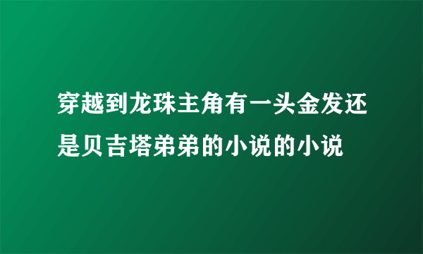 穿越到龙珠主角有一头金发还是贝吉塔弟弟的小说的小说