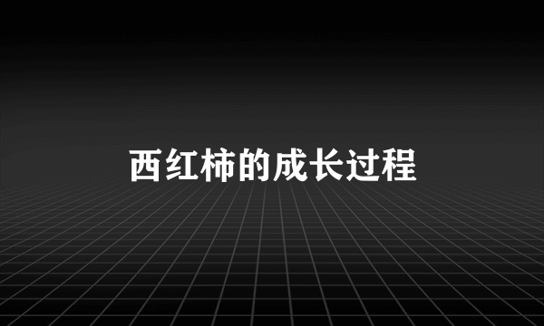 西红柿的成长过程