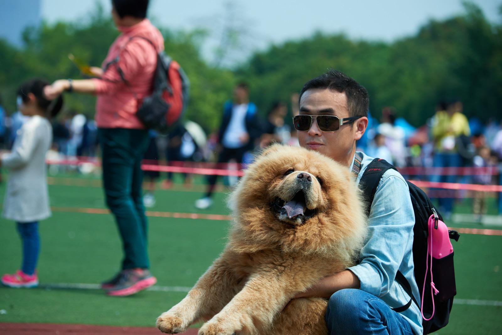 为什么会有很多人讨厌爱狗人士