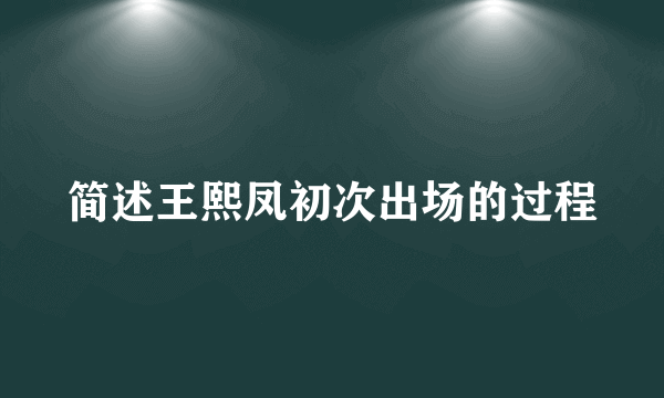 简述王熙凤初次出场的过程