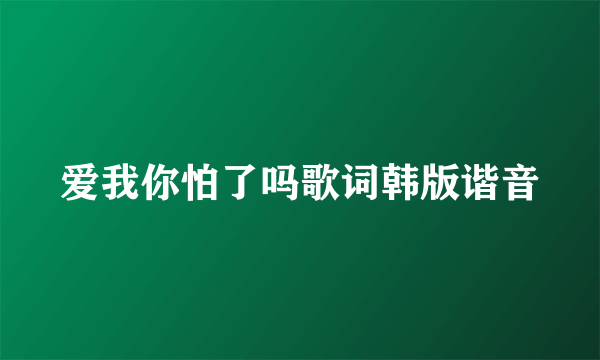 爱我你怕了吗歌词韩版谐音