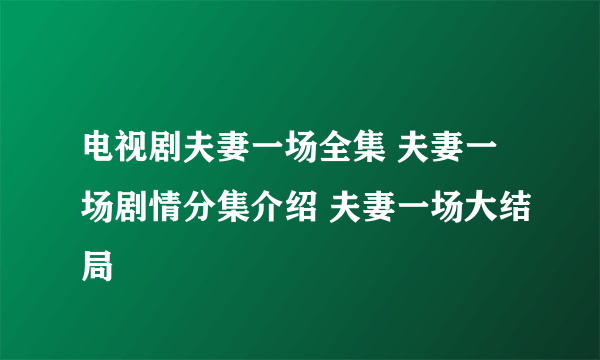 电视剧夫妻一场全集 夫妻一场剧情分集介绍 夫妻一场大结局