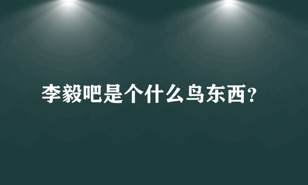 李毅吧是个什么鸟东西？