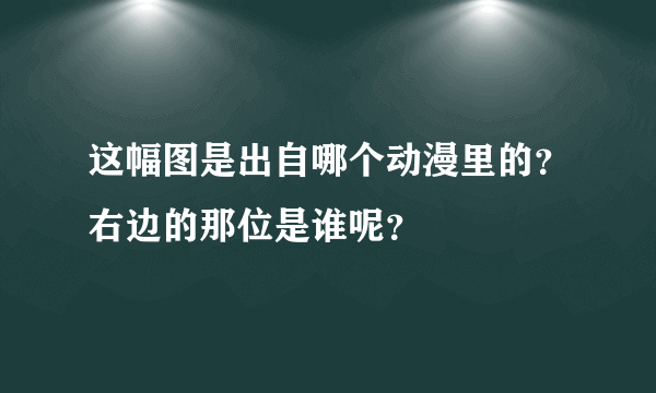 这幅图是出自哪个动漫里的？右边的那位是谁呢？