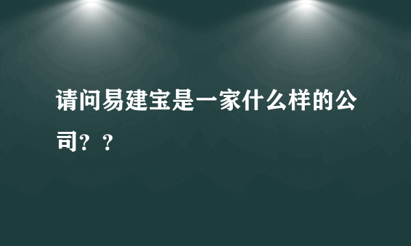 请问易建宝是一家什么样的公司？？