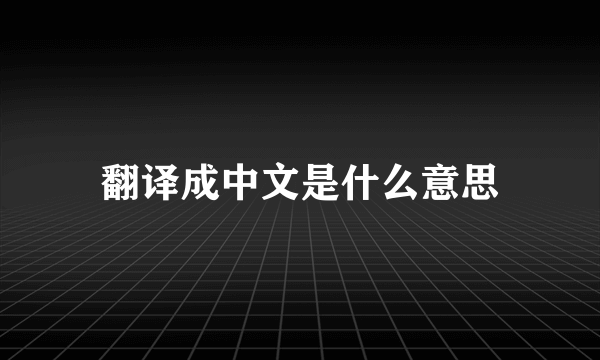 翻译成中文是什么意思