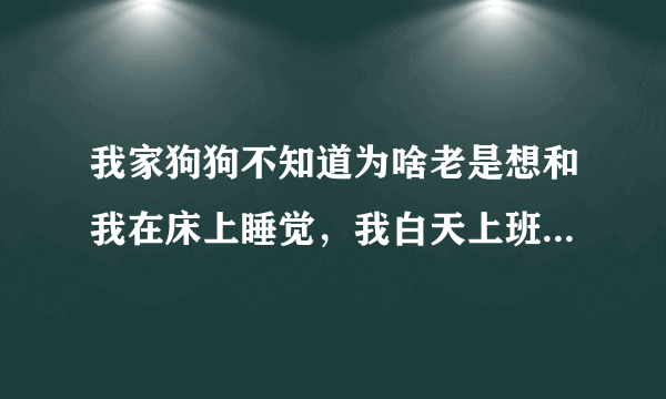 我家狗狗不知道为啥老是想和我在床上睡觉，我白天上班它也不叫，我晚上一回去就要和我上床睡觉我打它了不