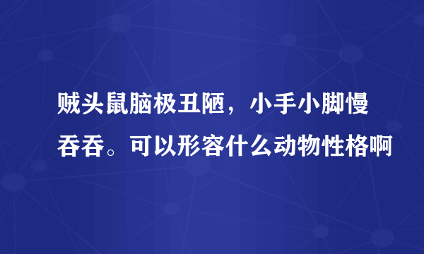 贼头鼠脑极丑陋，小手小脚慢吞吞。可以形容什么动物性格啊