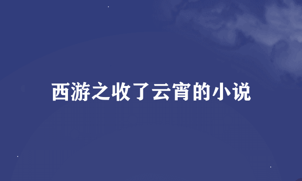 西游之收了云宵的小说