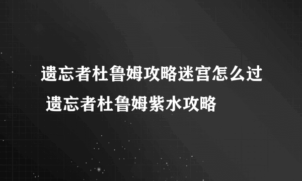 遗忘者杜鲁姆攻略迷宫怎么过 遗忘者杜鲁姆紫水攻略