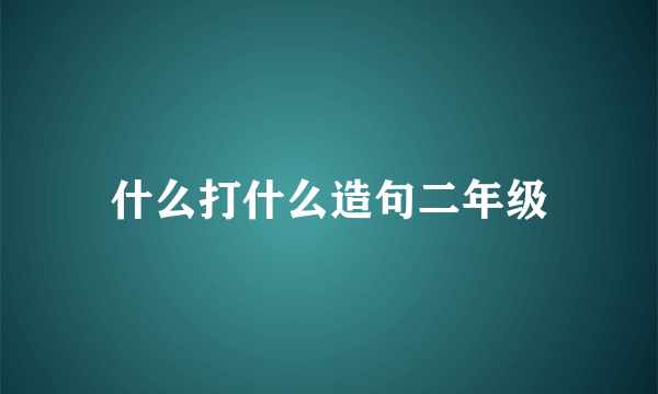 什么打什么造句二年级