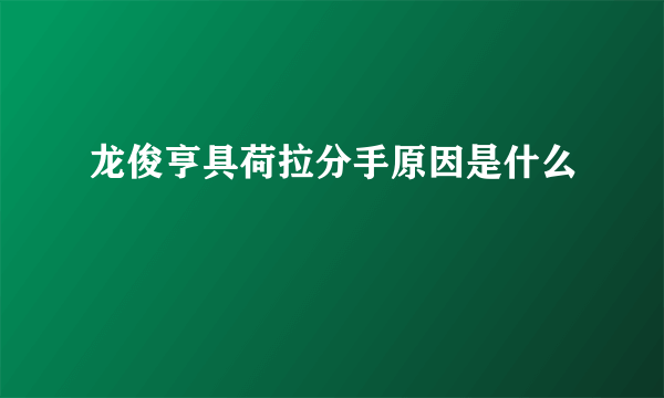 龙俊亨具荷拉分手原因是什么