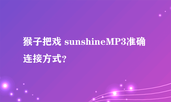 猴子把戏 sunshineMP3准确连接方式？