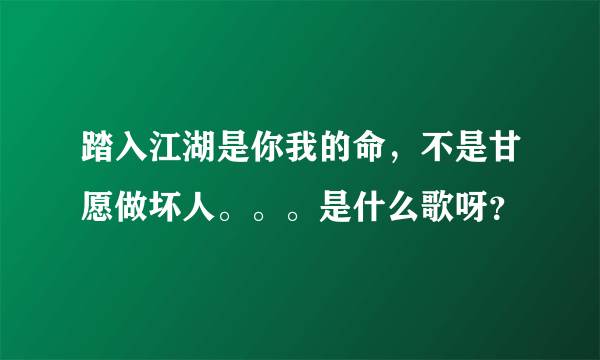 踏入江湖是你我的命，不是甘愿做坏人。。。是什么歌呀？