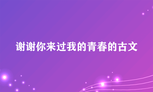 谢谢你来过我的青春的古文