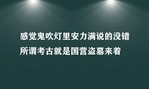 感觉鬼吹灯里安力满说的没错所谓考古就是国营盗墓来着