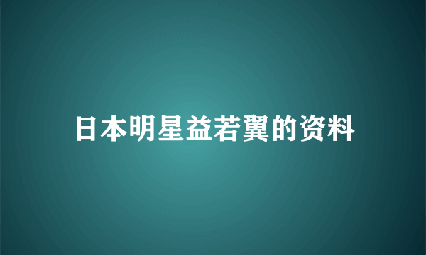 日本明星益若翼的资料