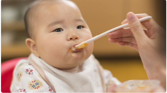 幼儿园食谱表周一到周五